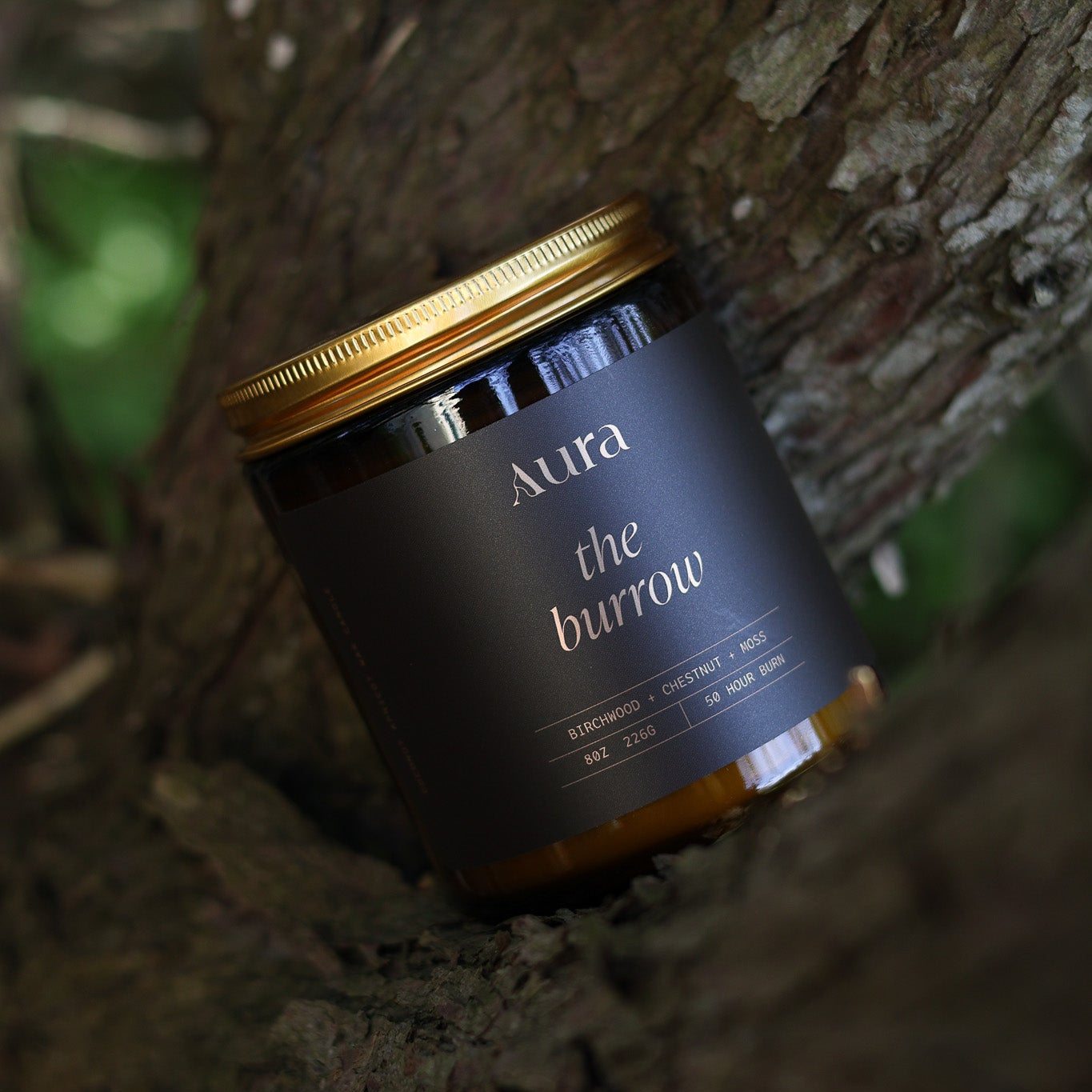 the burrow | birchwood + moss + chestnut