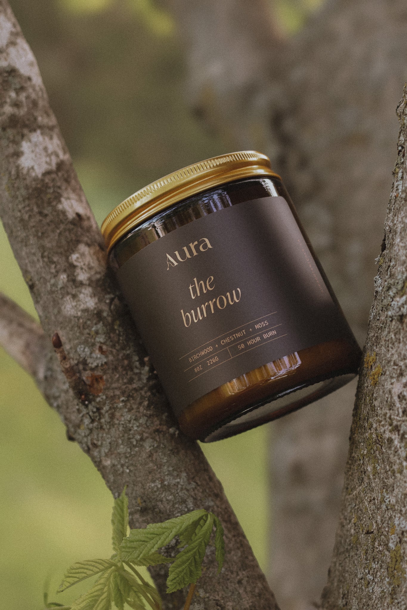 the burrow | birchwood + moss + chestnut