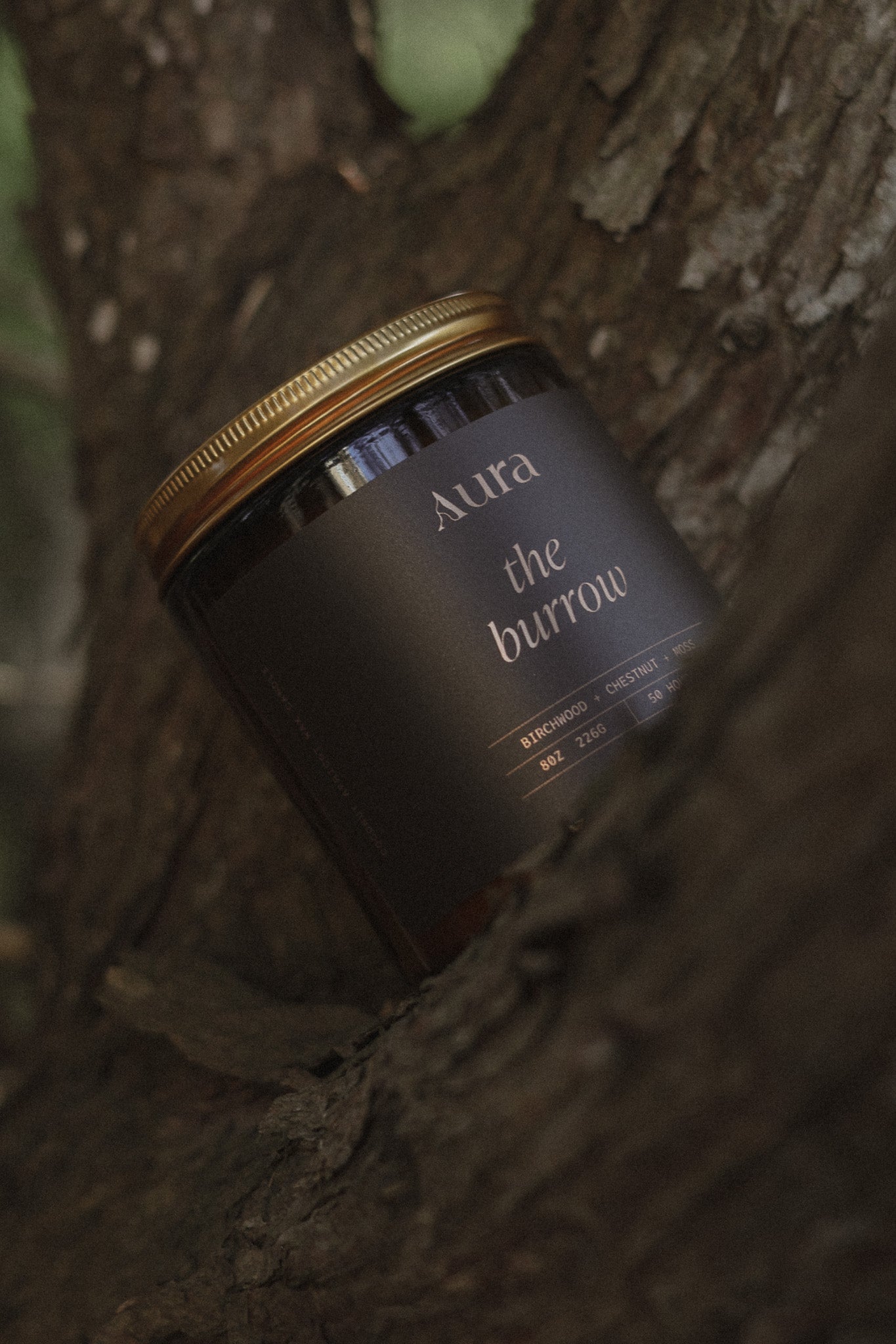 the burrow | birchwood + moss + chestnut