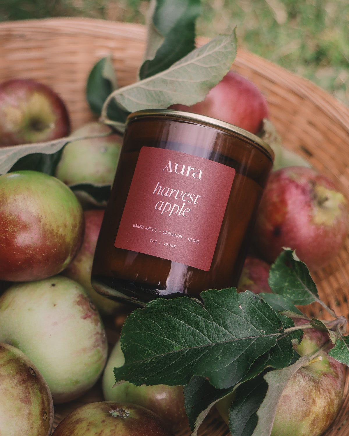 harvest apple | baked apple + cardamom + clove