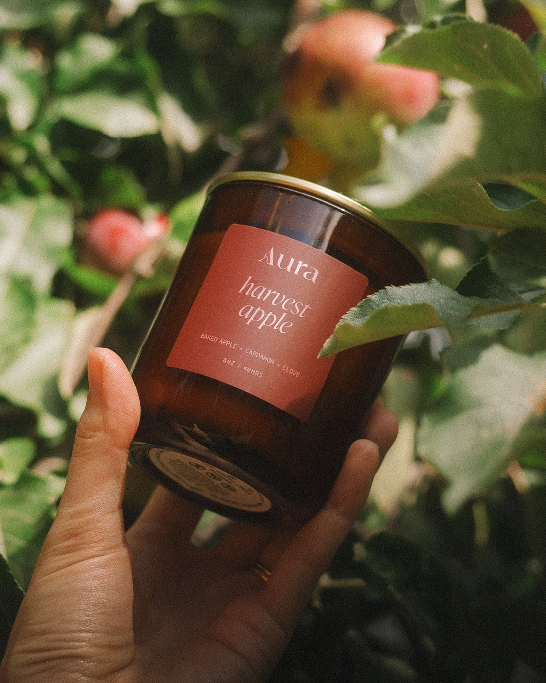 harvest apple | baked apple + cardamom + clove
